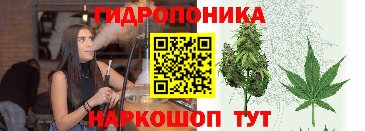 Марихуана планчик  Марихуана план  Вход с VPN  Шишки марихуана Bruce Banner  Добрянка  Каннабис White Widow 